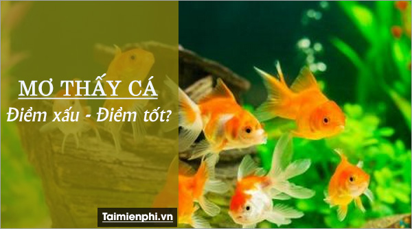 Nằm mơ thấy cá và nước Ý nghĩa, tin tưởng và giải mã